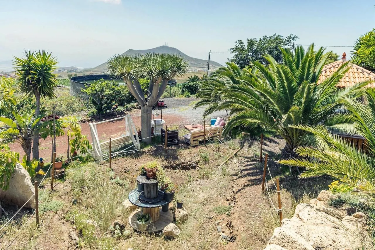 Apartamento B Armonia Rural Granadilla De Abona